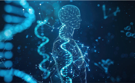 graphic showing brain and nervous system impacted by NAD+ therapy in bellevue wa